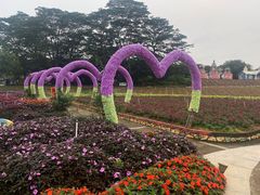-松山湖梦幻百花洲