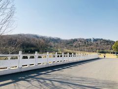 -羊山湖公园