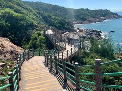 -广东惠东海龟国家级自然保护区