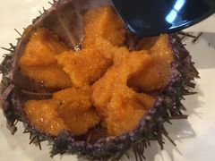 -上宴精品海鲜姿造(晶融汇旗舰店)