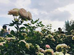 -人民公园(罗湖区)