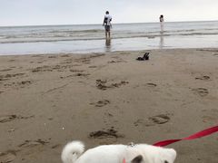 -南澳海滩