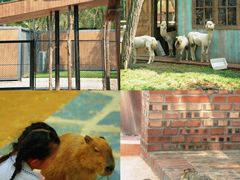 -南戴河国际娱乐中心