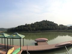-美的鹭湖森林度假区