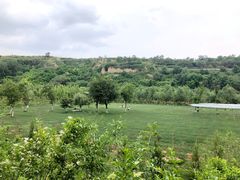 -渭南桃花源民俗文化园