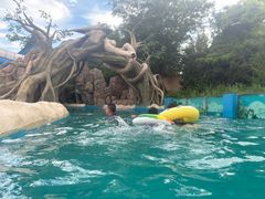 -秦皇岛乐岛海洋王国