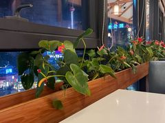 -粤点越有·茶点·粤菜(樵岭国际店)