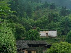 -杨家堂村