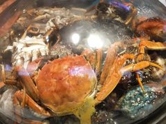 -乔哥铭洋海鲜自助(皇城恒隆广场店)