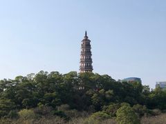 -顺峰山公园