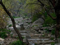 -泰山风景名胜区