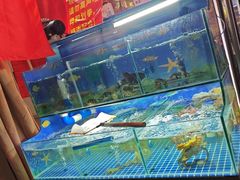 -牟记江湖重庆地标特色菜鱼蛋海鲜羊蝎子(巴南区黑金冠十多年好店)