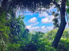 -海南霸王岭国家森林公园