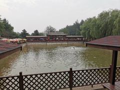 -尚庄度假村·庭台树下·户外烧烤·团建CS·轰趴营地(上庄水库店)