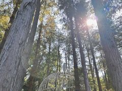 -上海月湖雕塑公园