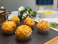 -丁老爷子苏香圆