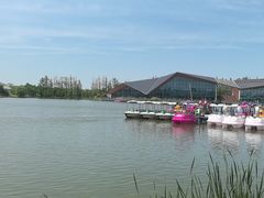 -上海长兴岛郊野公园