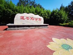 -莲花池公园