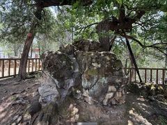 -普陀宗乘之庙(小布达拉宫)