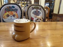 -more than meow吴止猫主题餐厅(承德 中船汇店)