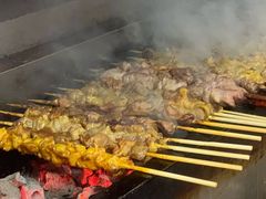 -新疆喀什烤肉饭店(红松路店)