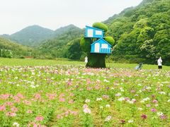 -广州市石门国家森林公园