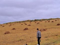 -塞罕坝国家级自然保护区