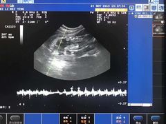 -欧奕国际动物医院