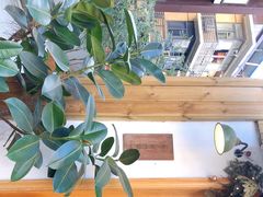 -懒鱼时光馆(沙坪坝店)