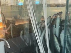 -银河烧鳗·活鳗料理专门店(西单大悦城店)