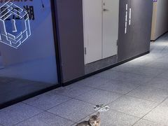 -谜盒子奇幻密室(南屏店)