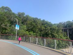 -飞凤山奥体公园