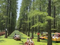 -渌洋湖湿地公园
