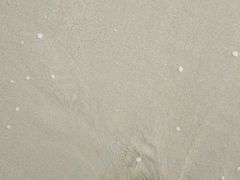 -北海金海湾红树林生态旅游区