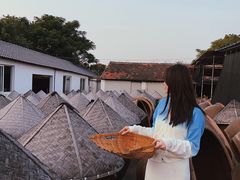 -苏州市吴中区光福窑上花果蜜饯厂