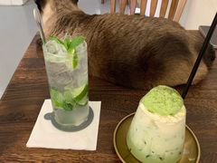 -猫友咖啡店(玉林西路店)