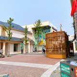 赛特奥莱
