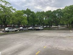 -安飞驰驾校·学车连锁(金高店)