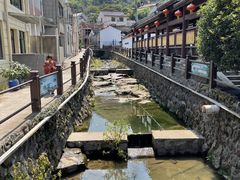-四明山国家森林公园