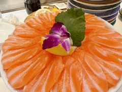 挪威三文鱼-采御鲜·回转寿司(汕头万达店)