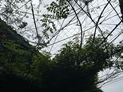 -紫阳古街
