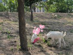 -北运河水利风景区
