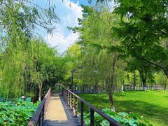 -沐仙湖湿地公园