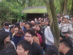 -溱湖国家湿地公园