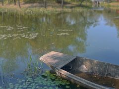 -尚贤河湿地