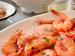 长毛虾-金海湾海鲜排档(朱家尖店)