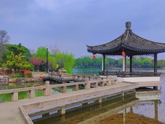 -尚湖风景区