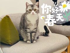 -老梦面包 CHEZMOREL(三源里店)