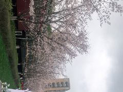 -新天地活力PARK