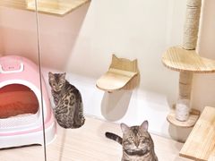 -Double Rui宠物酒店